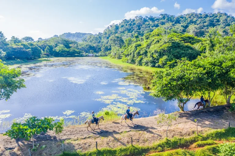 Horseback - Maquenque lodge