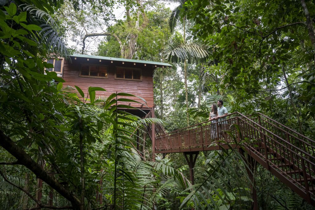 Deluxe Tree House - Maquenque Lodge Costa Rica.