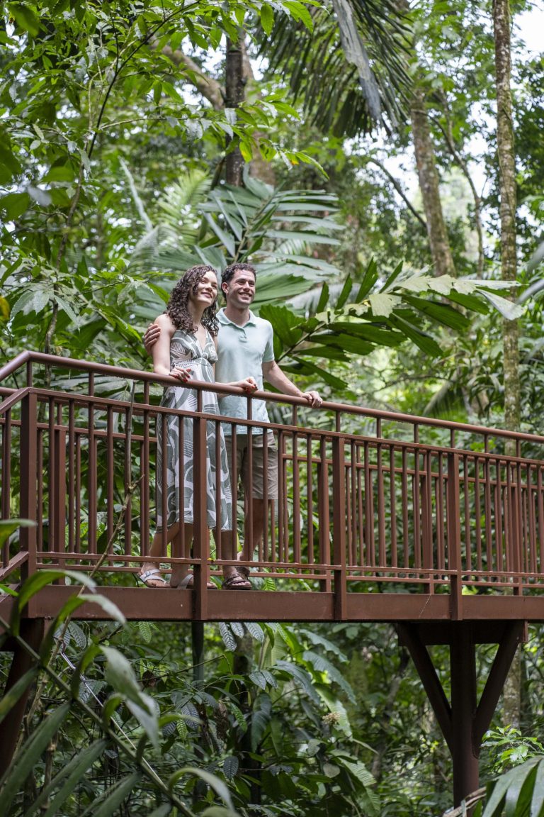 TREE HOUSE DELUXE - 36-min