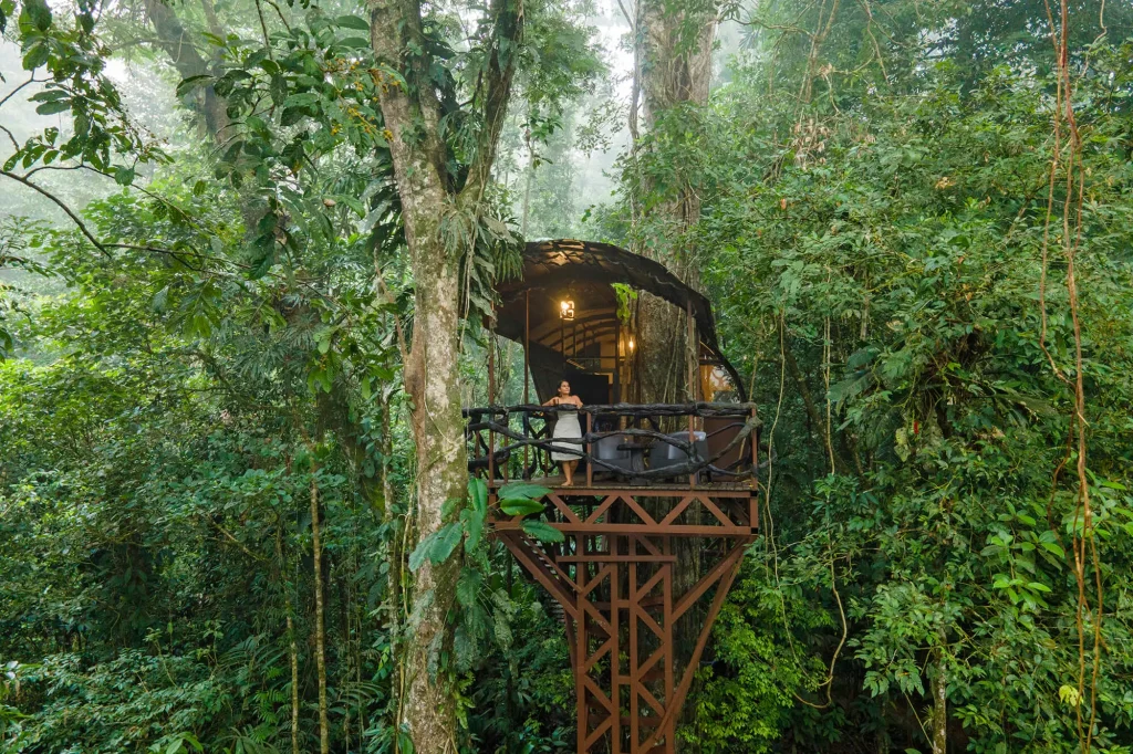 Tree house - Maquenque Lodge