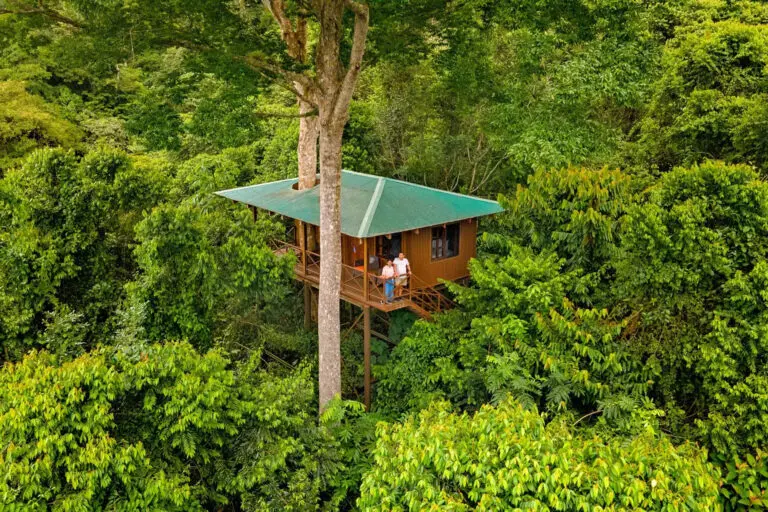 tree-house-maquenqueecolodge-768x512