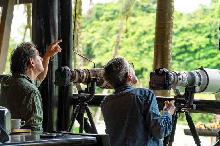 Bird Watching Costa Rica - Maquenque Lodge