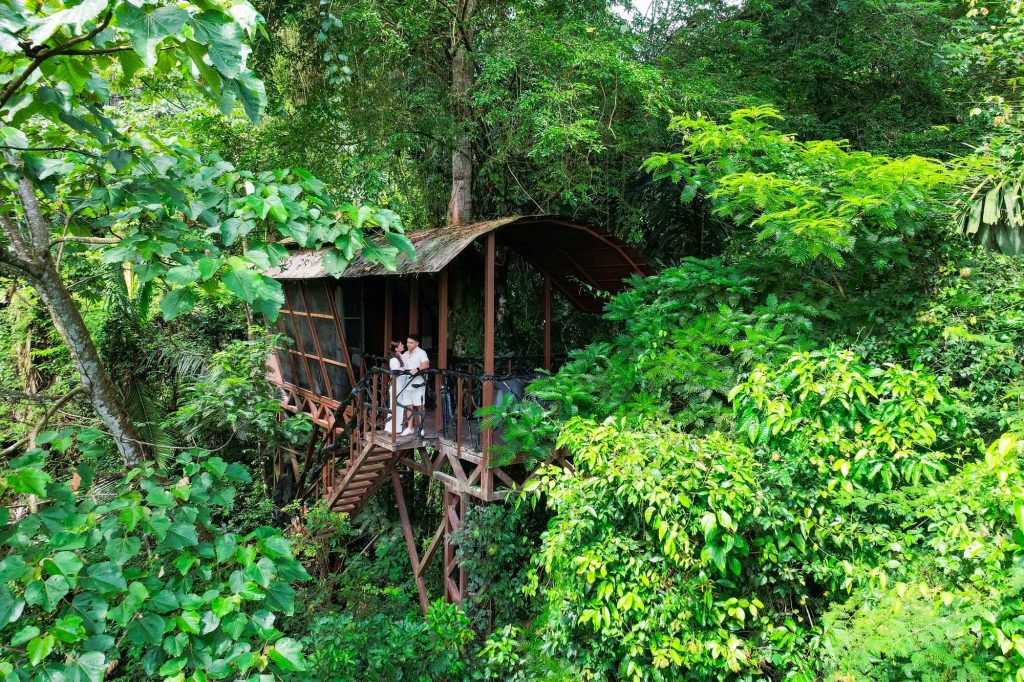 Maquenque Lodge - Tree House