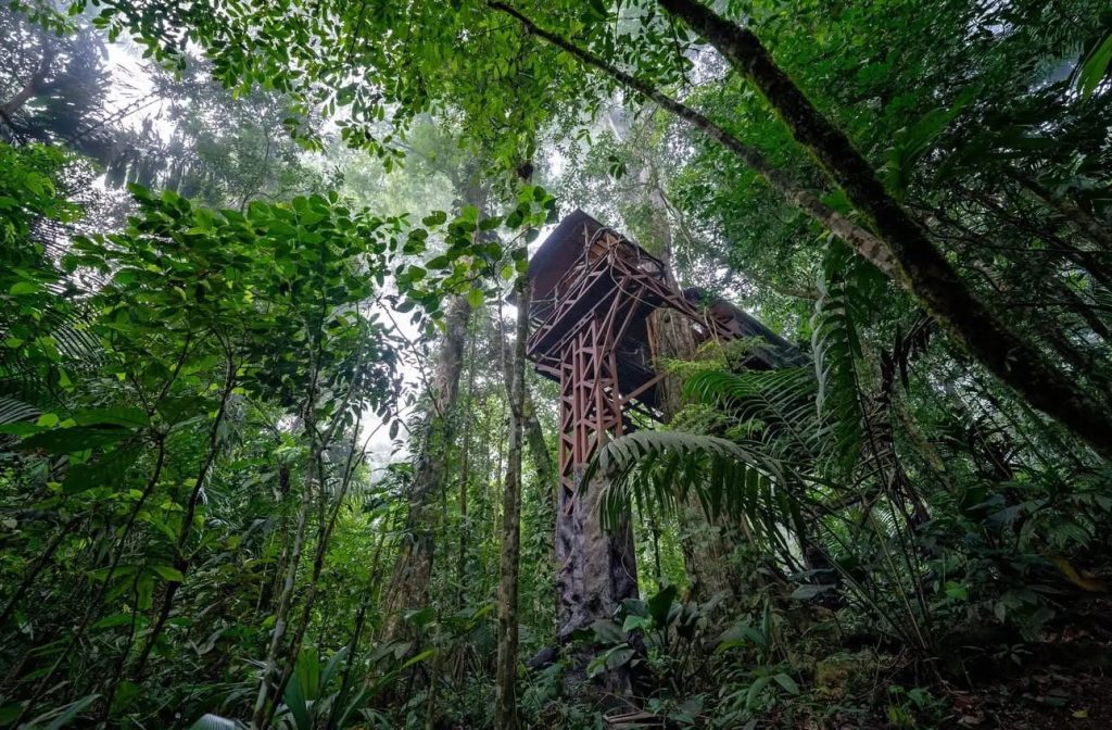 Eco Lodge Costa Rica - Maquenque Lodge - Tree House