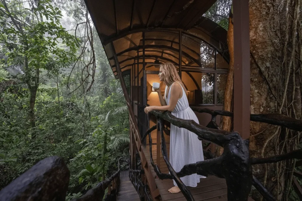 Maquenque Lodge - Tree House Standard Room