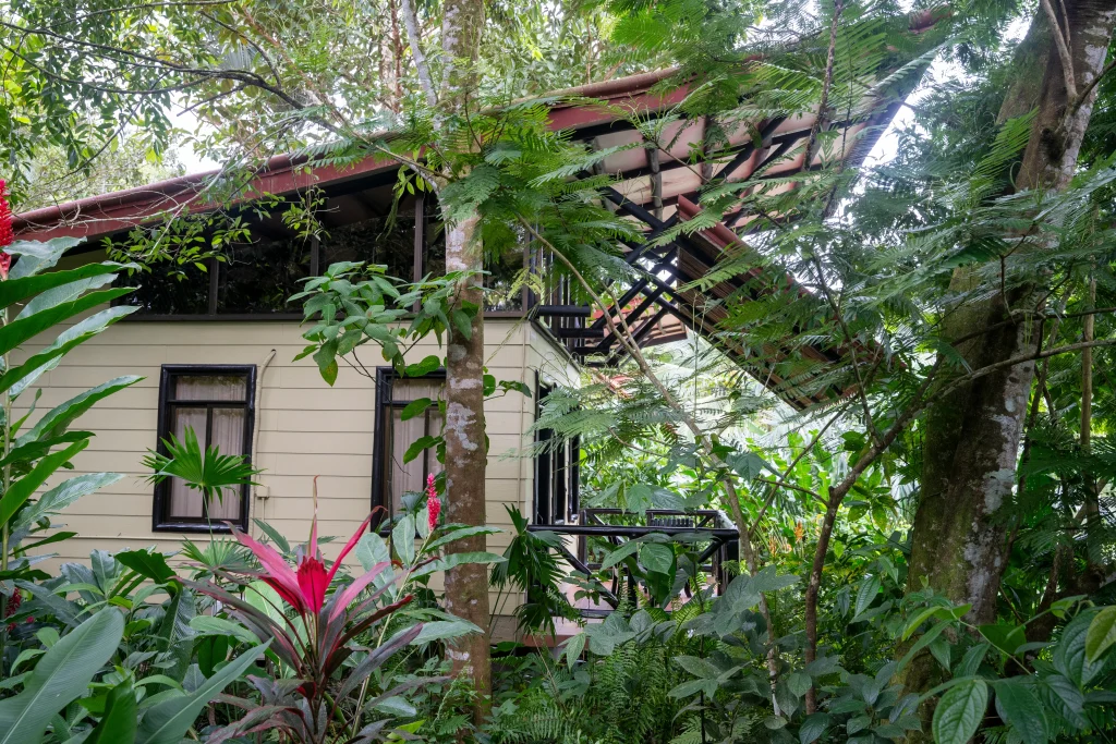JUNGLE SUITE MAQUENQUE LODGE2